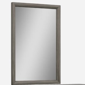 Jennifer Italia Nattier Rectangle Dresser Mirror in Chestnut Brown Wood Frame Finish