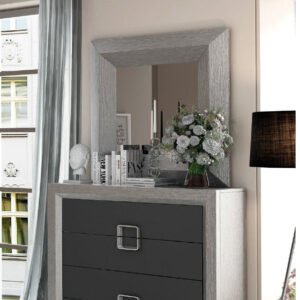 ESF Furniture Enzo Dresser Mirror in Silver Wood Frame