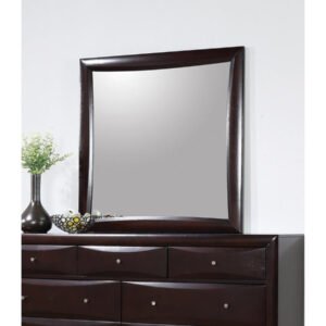 Coaster Furniture Phoenix Dresser Mirror in Cappuccino Frame Finish