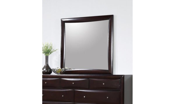 Coaster Furniture Phoenix Dresser Mirror in Cappuccino Frame Finish